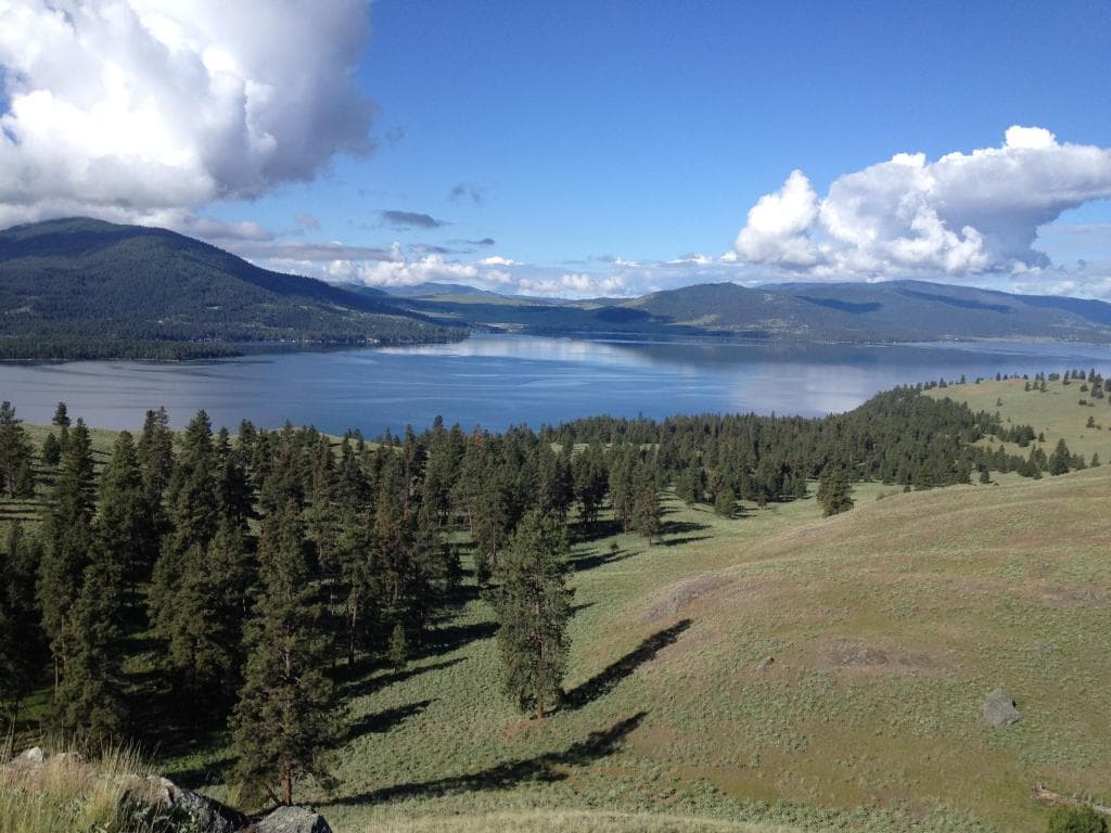 Wild Horse island views