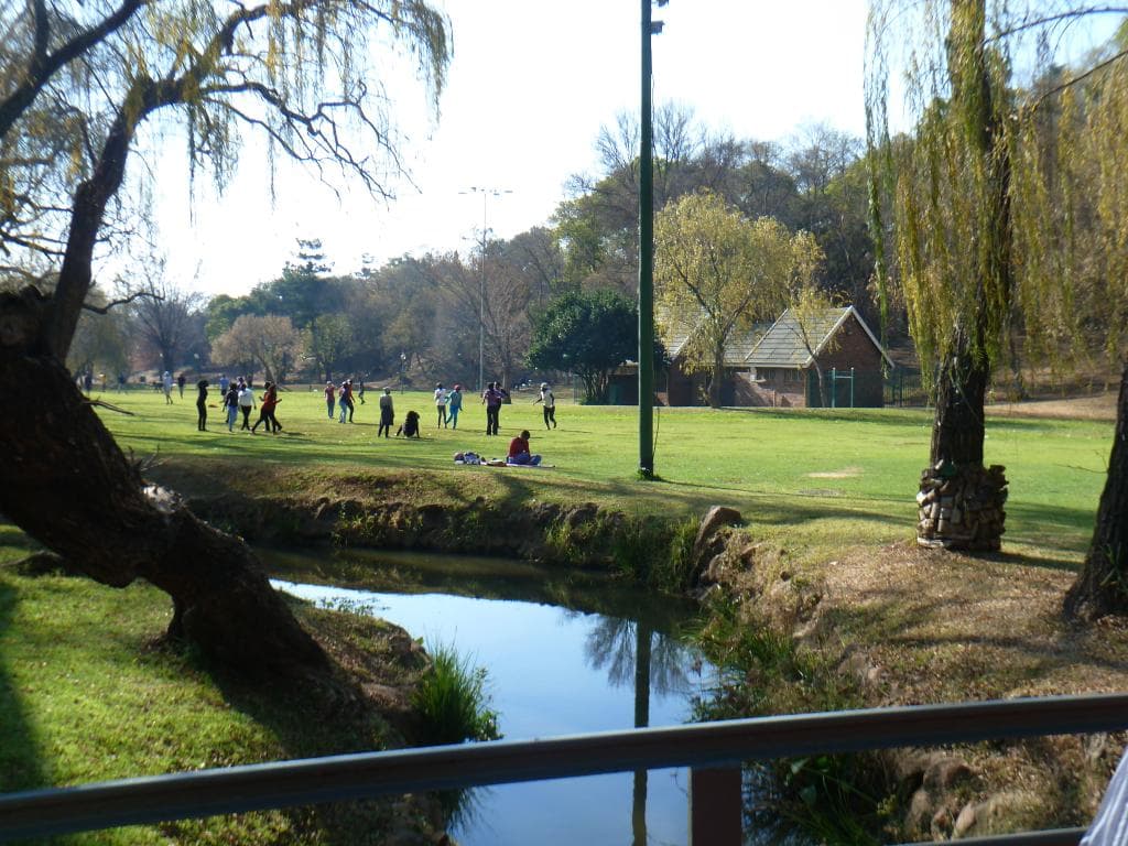 The park