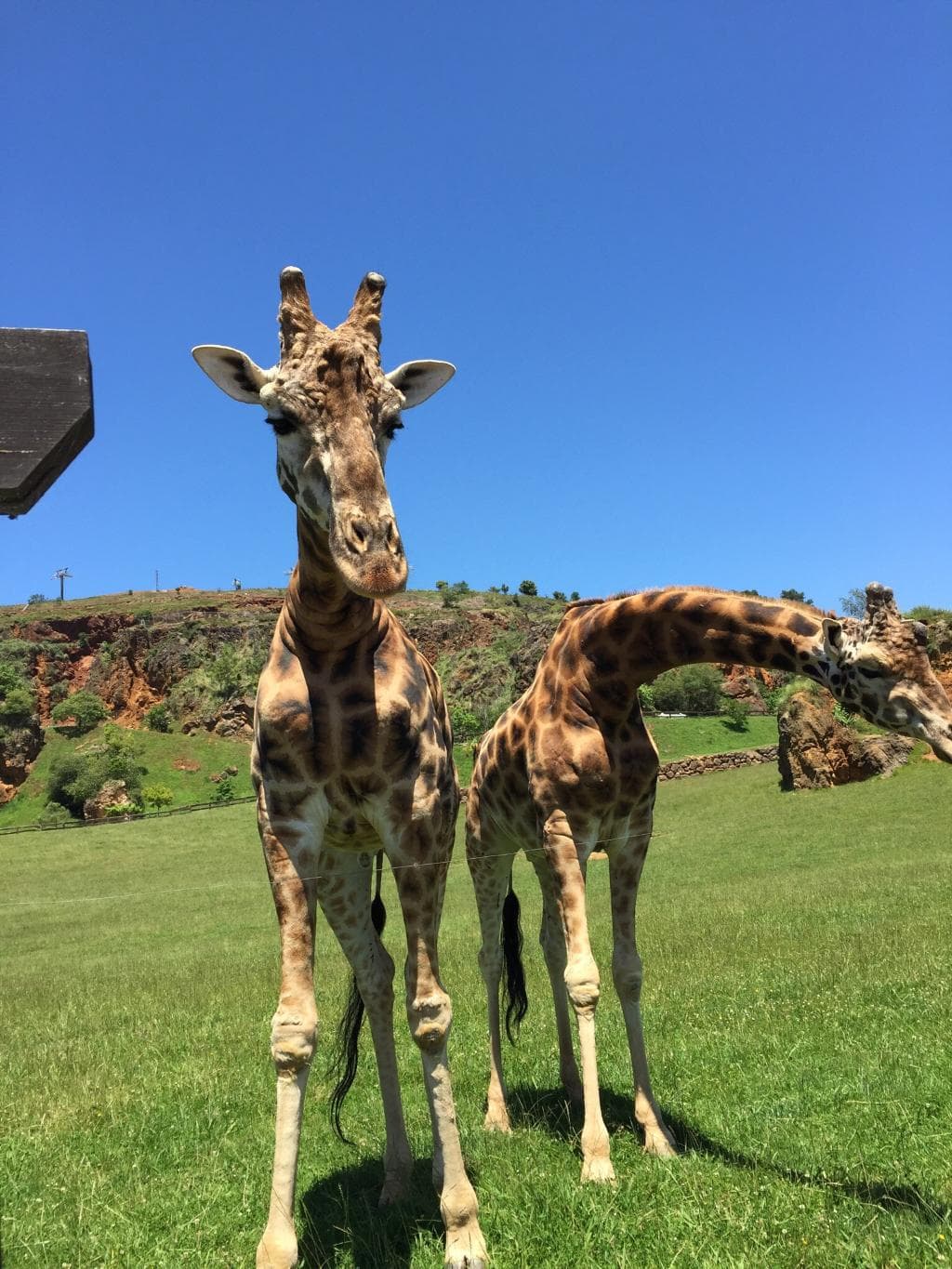 Parque de la Naturaleza de Cabárceno
