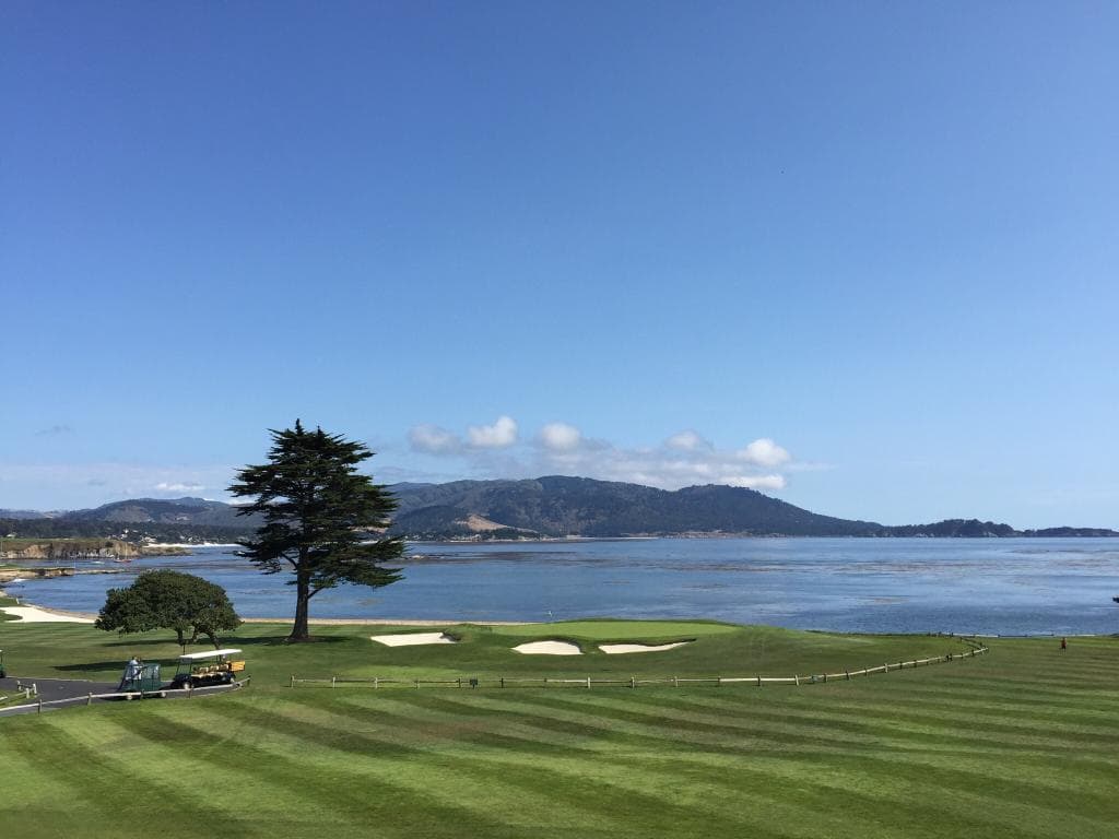 A bit of fun on 17 mile drive we could have played the Pebble Beach course but left our clubs in