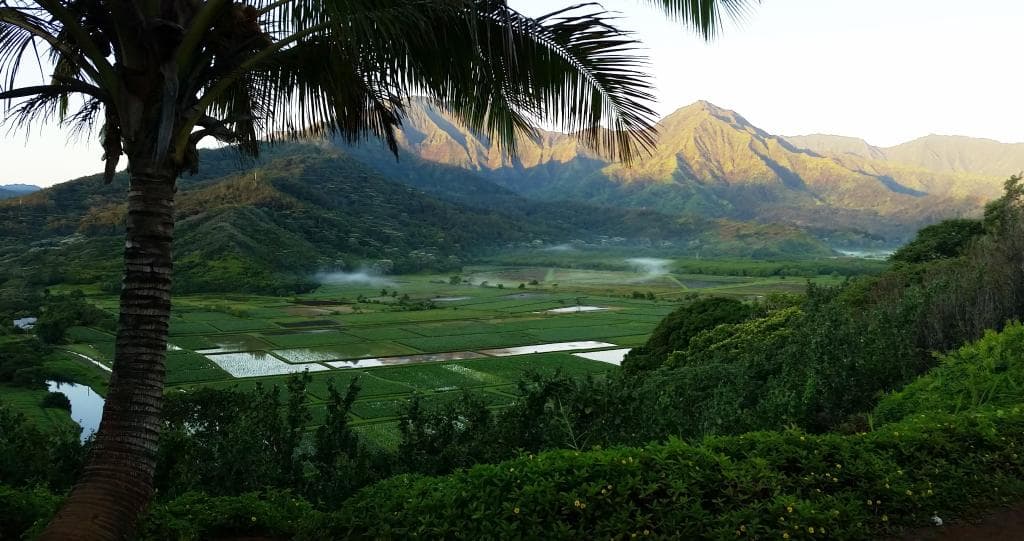 Panoramic morning view of Hanalei Valley Lookout