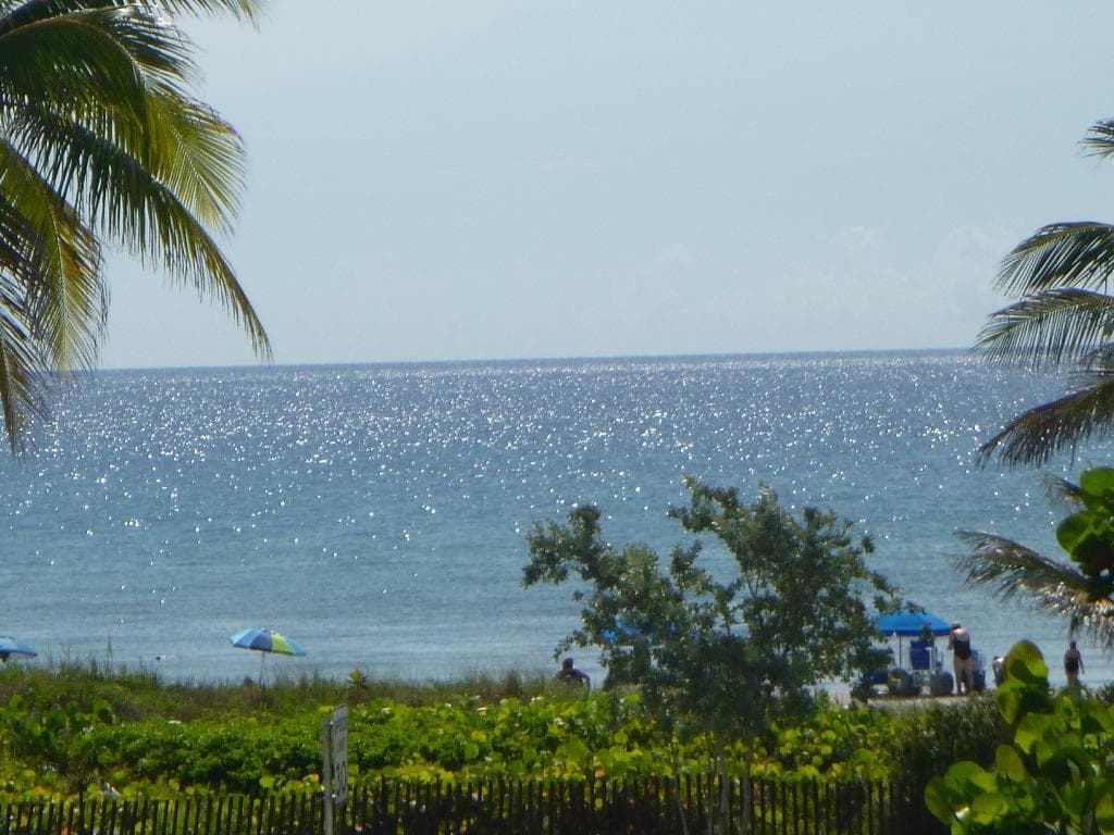 view from observation deck