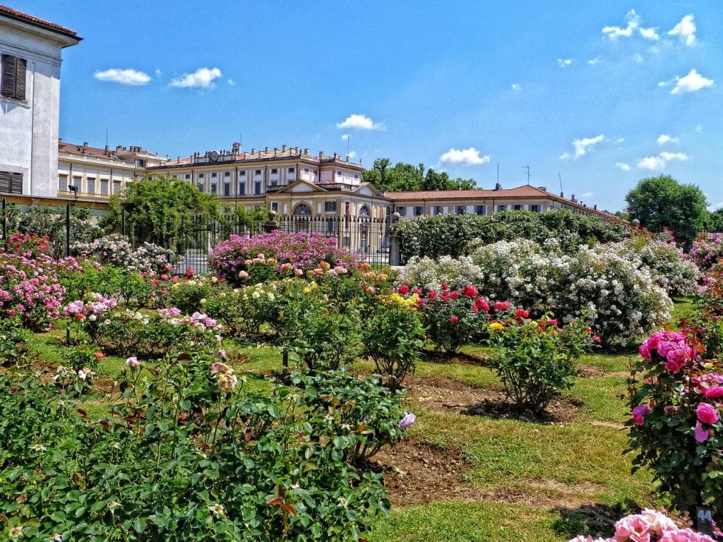 roseto 2015 003