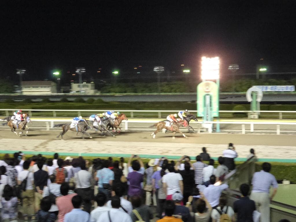 ナイター競馬が始まった船橋競馬場。非日常空間はLIVEが最高です。