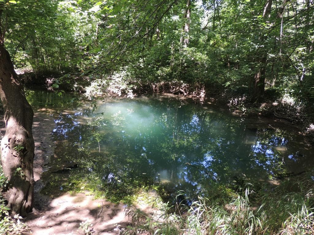 The Blue Hole, part of the original spring.