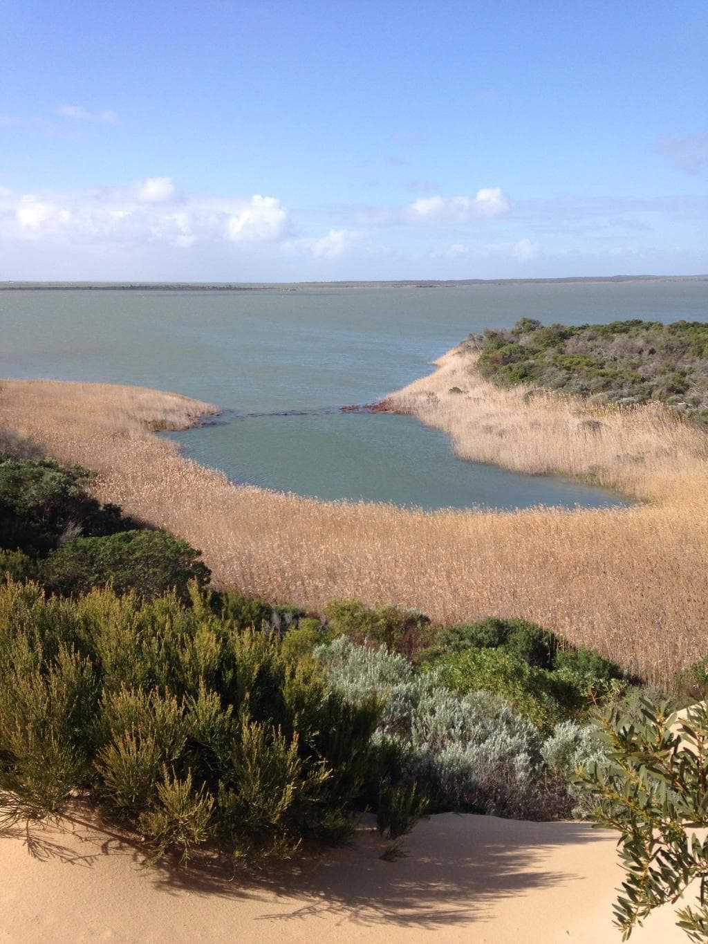 I feel I made a right decision to take the tour. The staffs are well trained and knowledgable. R