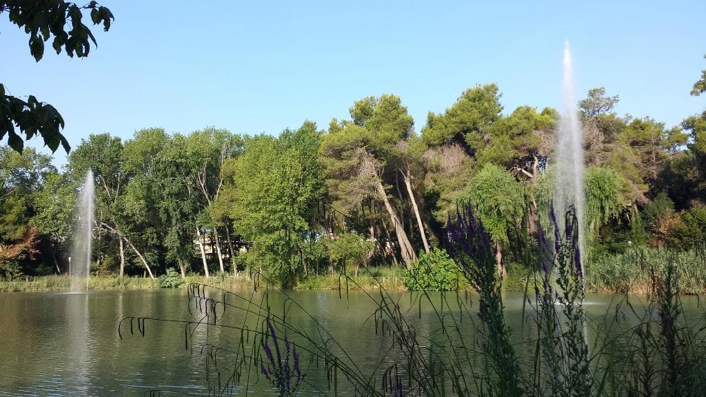 Pescara, Pineta Danunziana