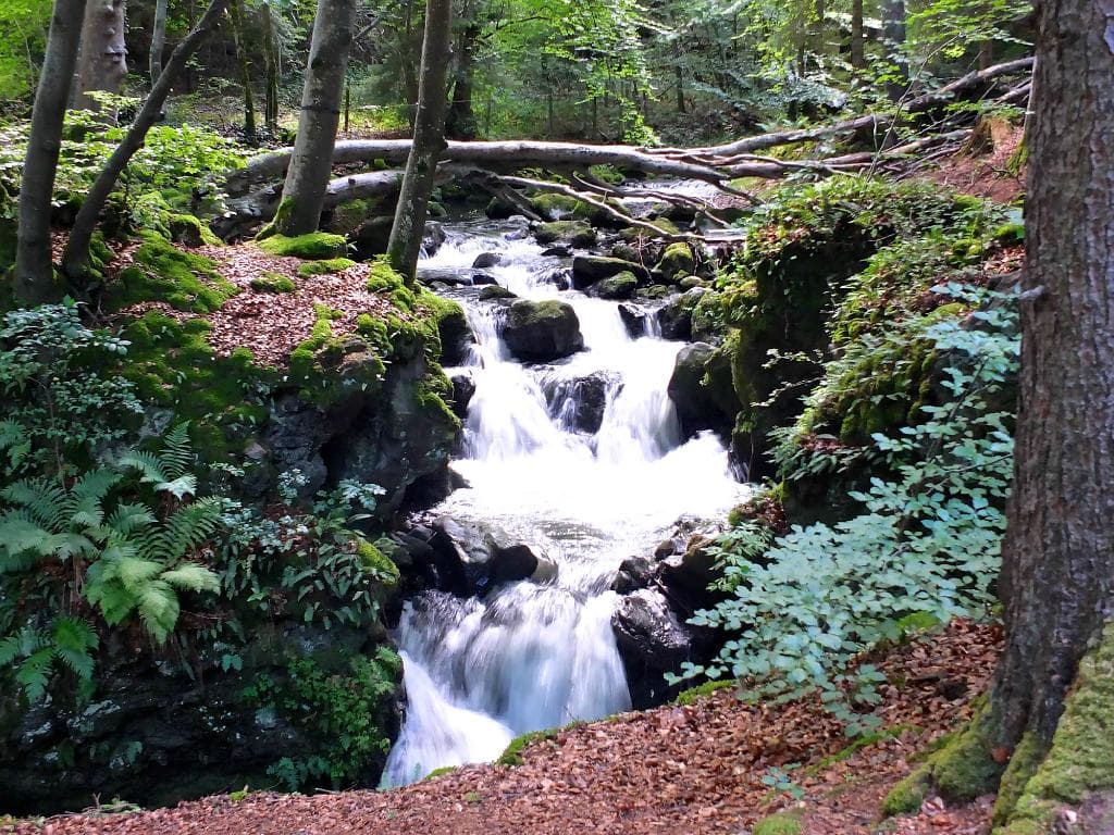 Au fils de la descente