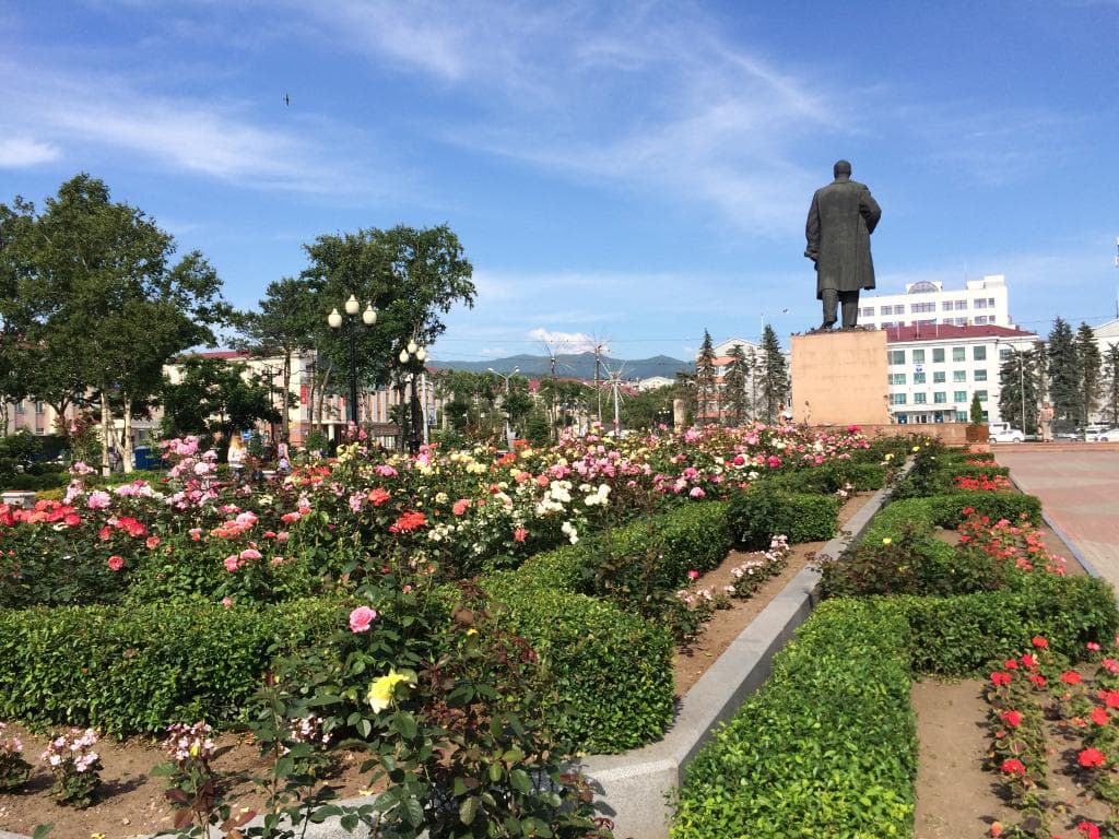 Сотни роз