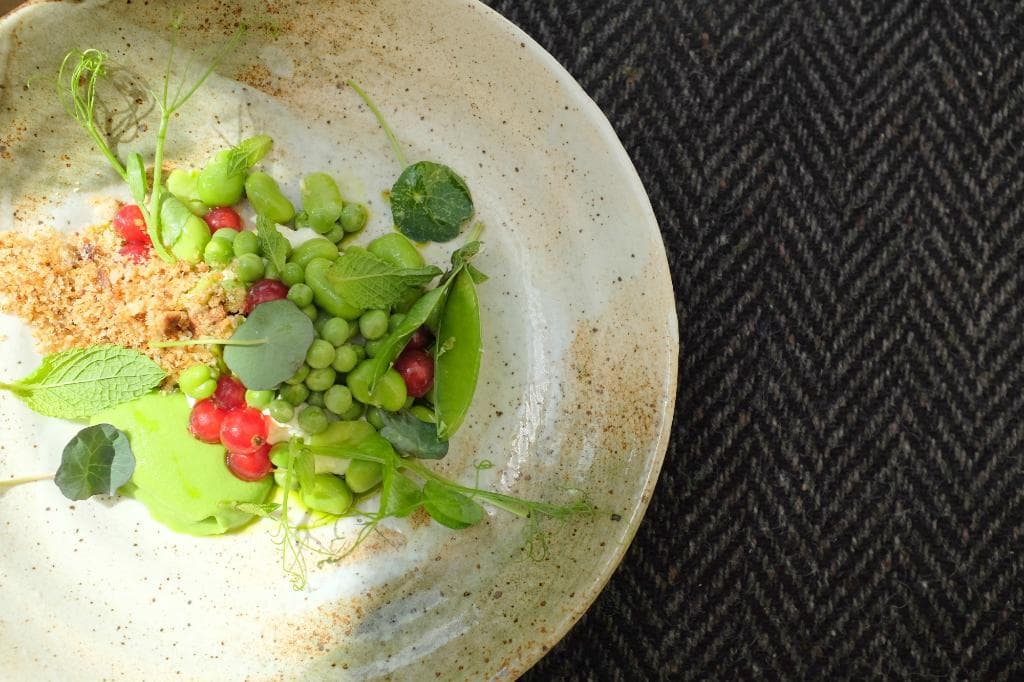 Fresh Pea & Broad Bean, St.Tola Goats Cheese, Fried Bread, Redcurrants & Mint