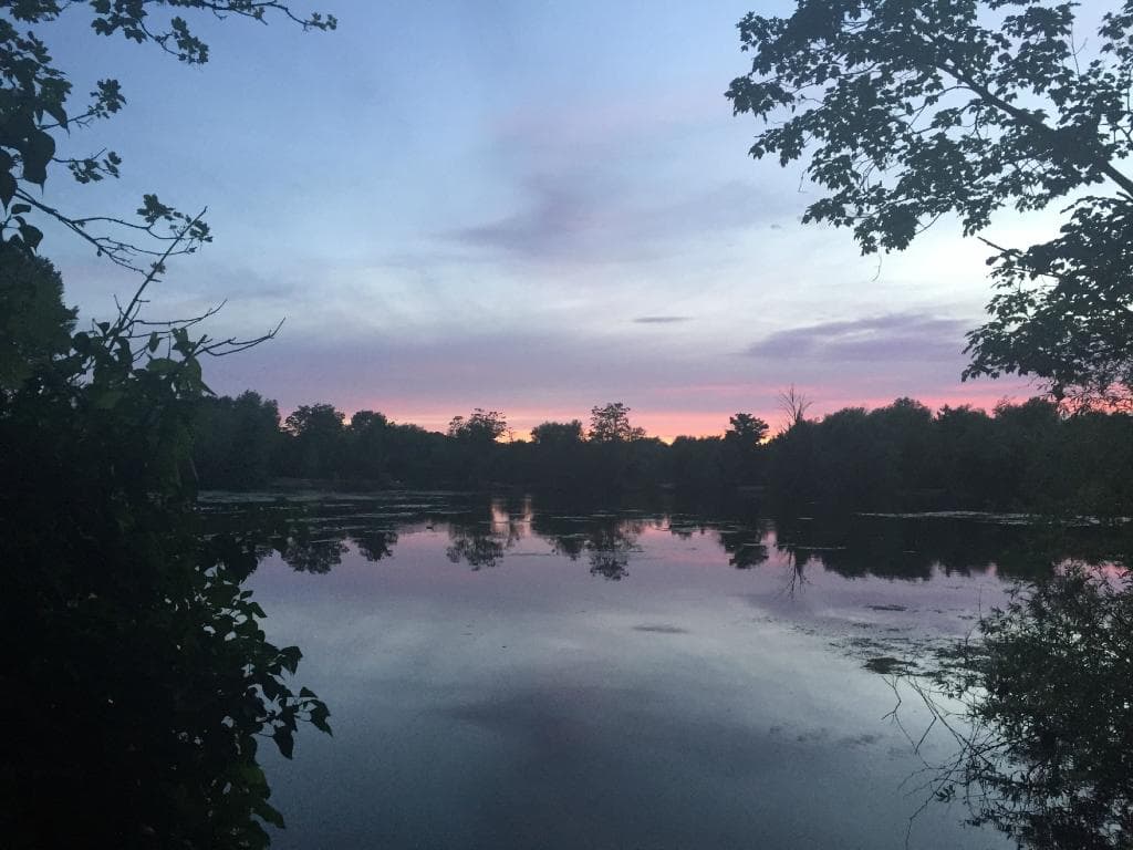 lake just south of Dartford