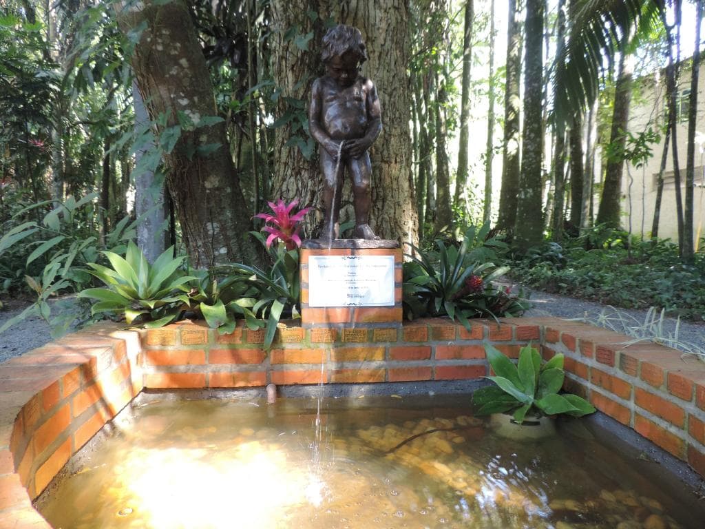 Fonte no jardim