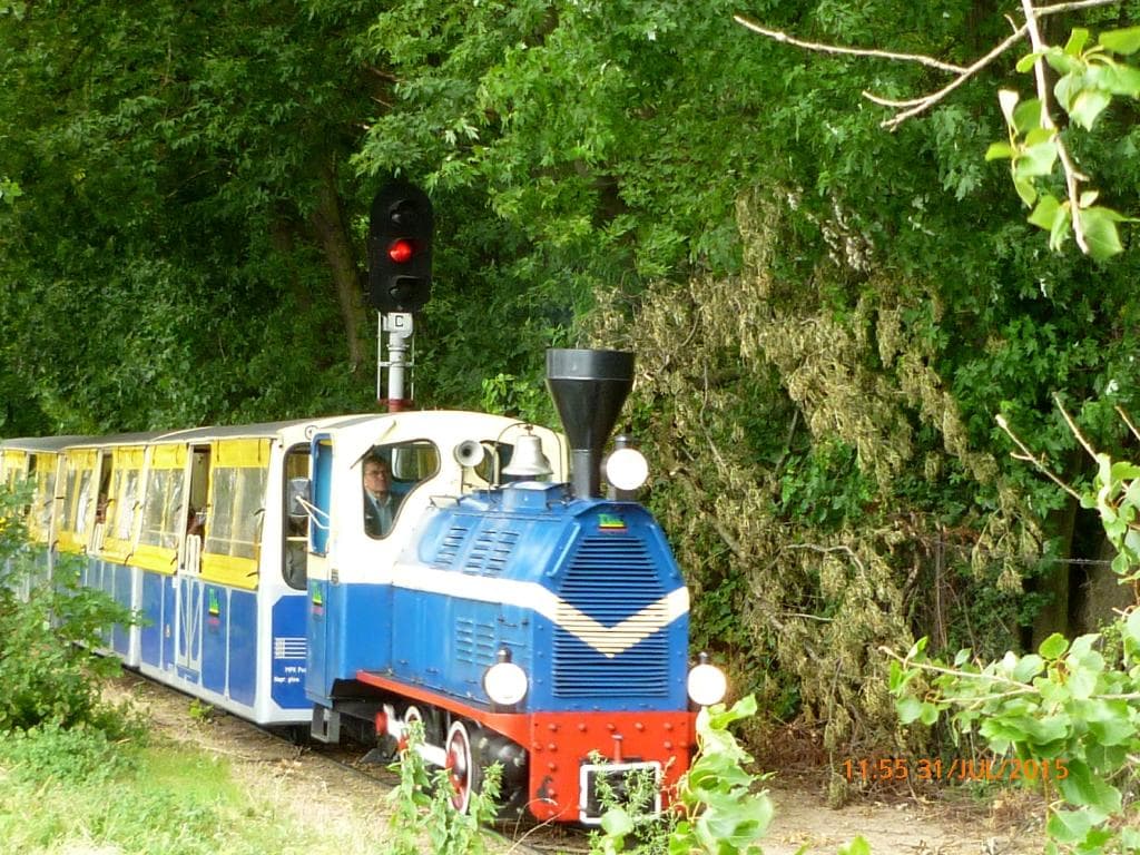 Train en route to the zoo