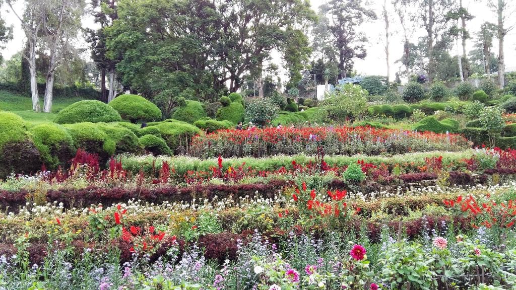 Bundles of colours.
