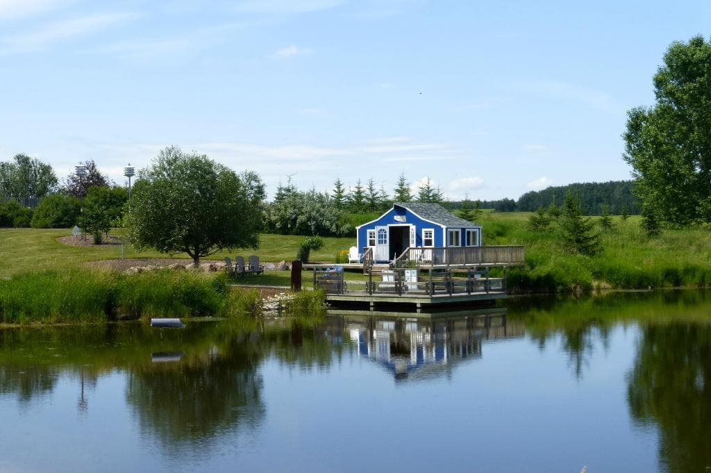 Ellis Bird Farm tranquility