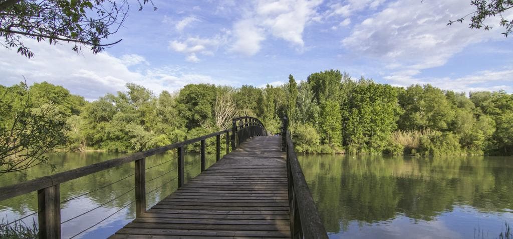 Puente sobre el rio segre de el parque la mitjana