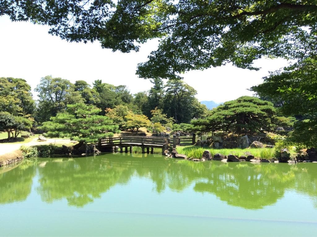 彦根城から金亀公園へ移動迄の写真です。途中の玄宮園の庭園の池が抹茶色でとても綺麗でしたよ。玄宮園は、彦根城天守より全体が綺麗に見えます。