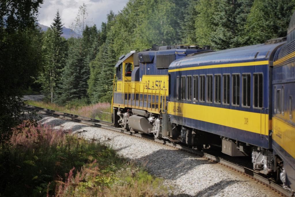 The train.