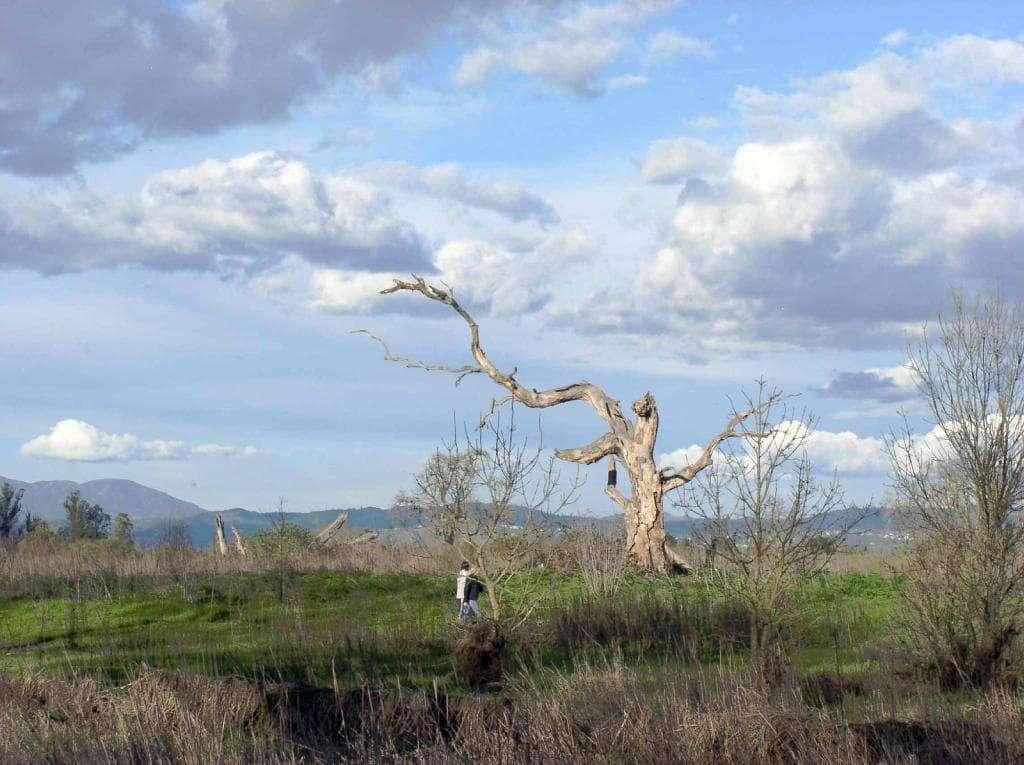 Walkers on a path in the Lagunade Santa Rosa