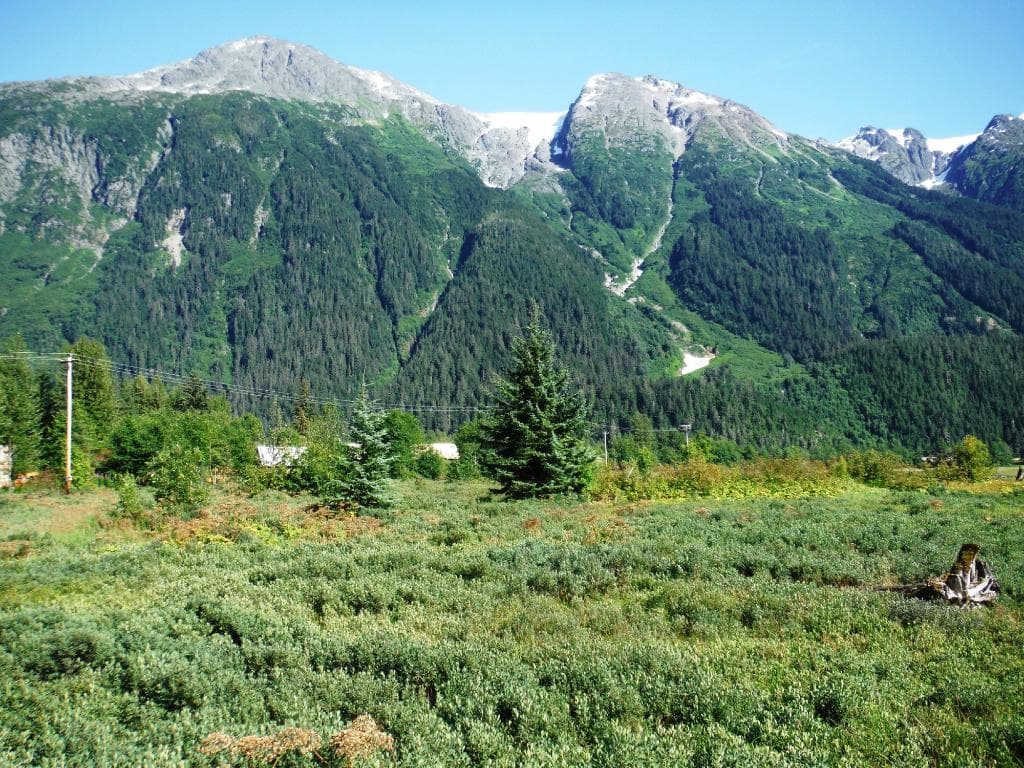 Glacier View from boardwalk