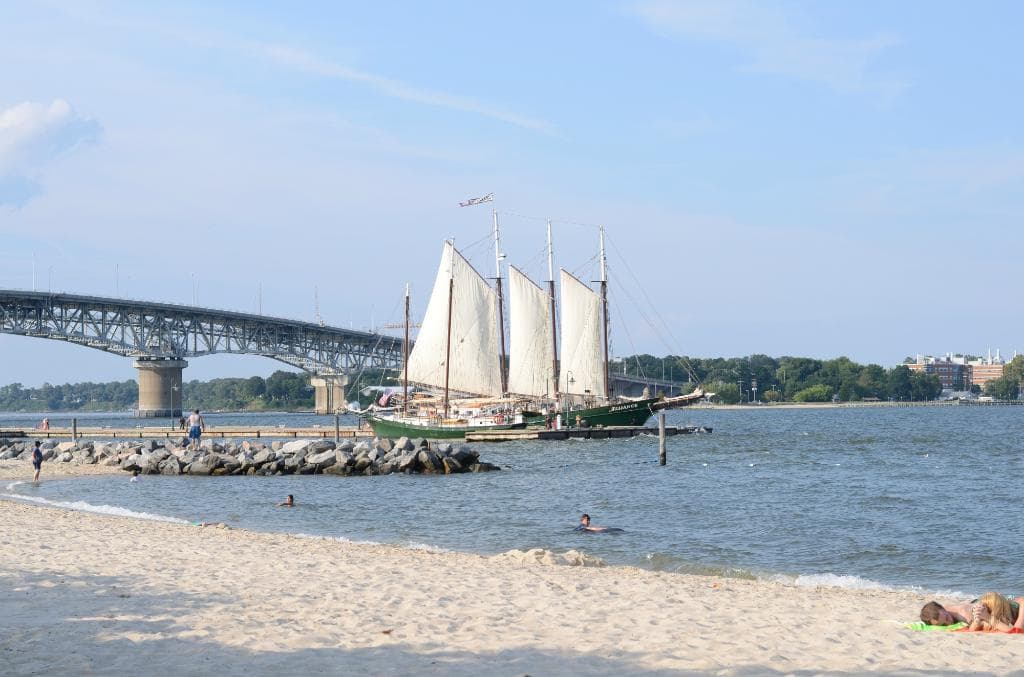 The nearby Marina - adjacent to the beach