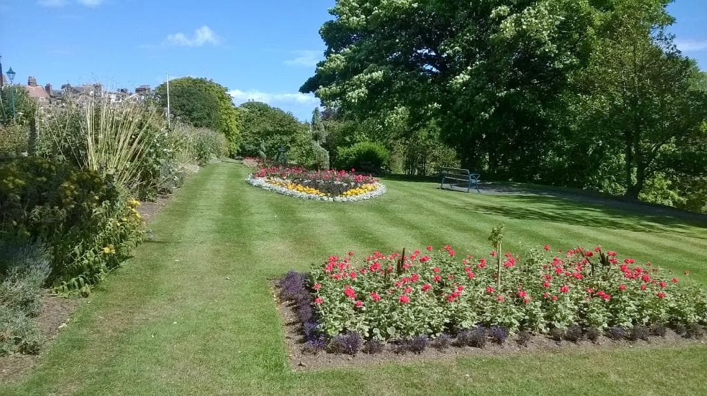 Flower beds
