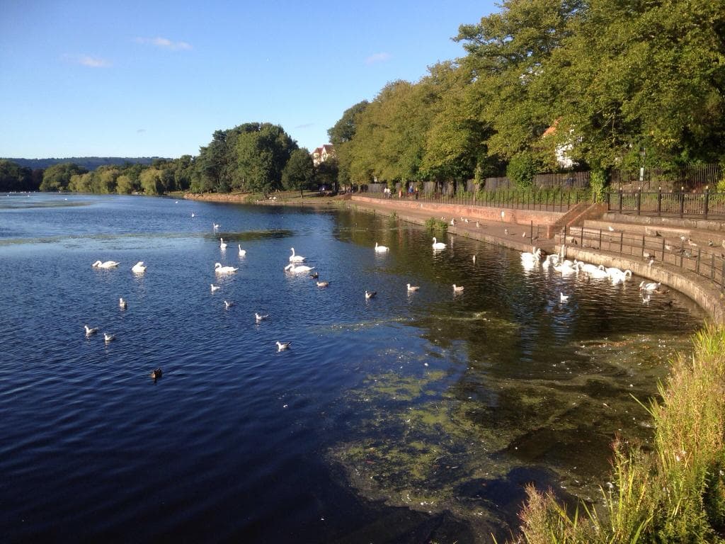 Roath Park