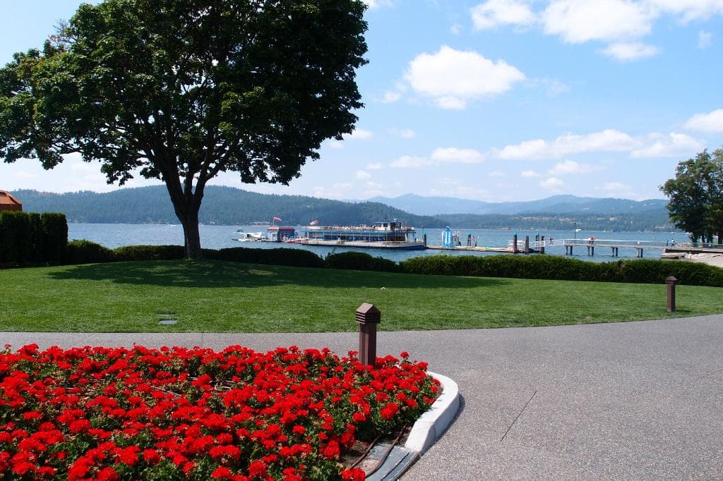 Вид на озеро из парка