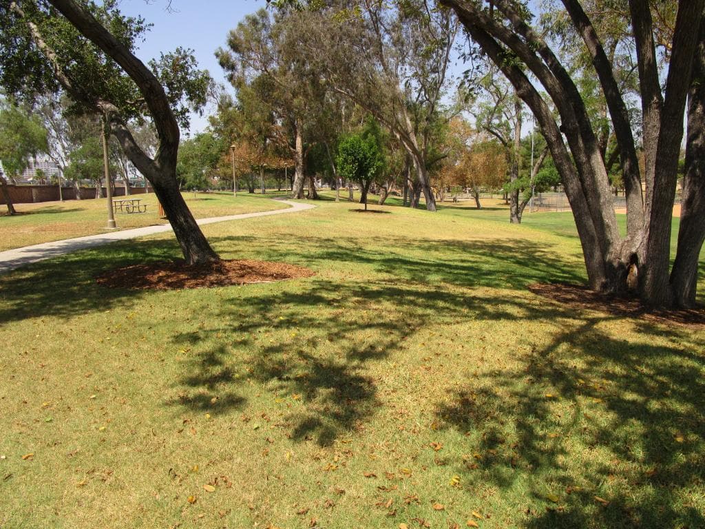 Nice path for strolling