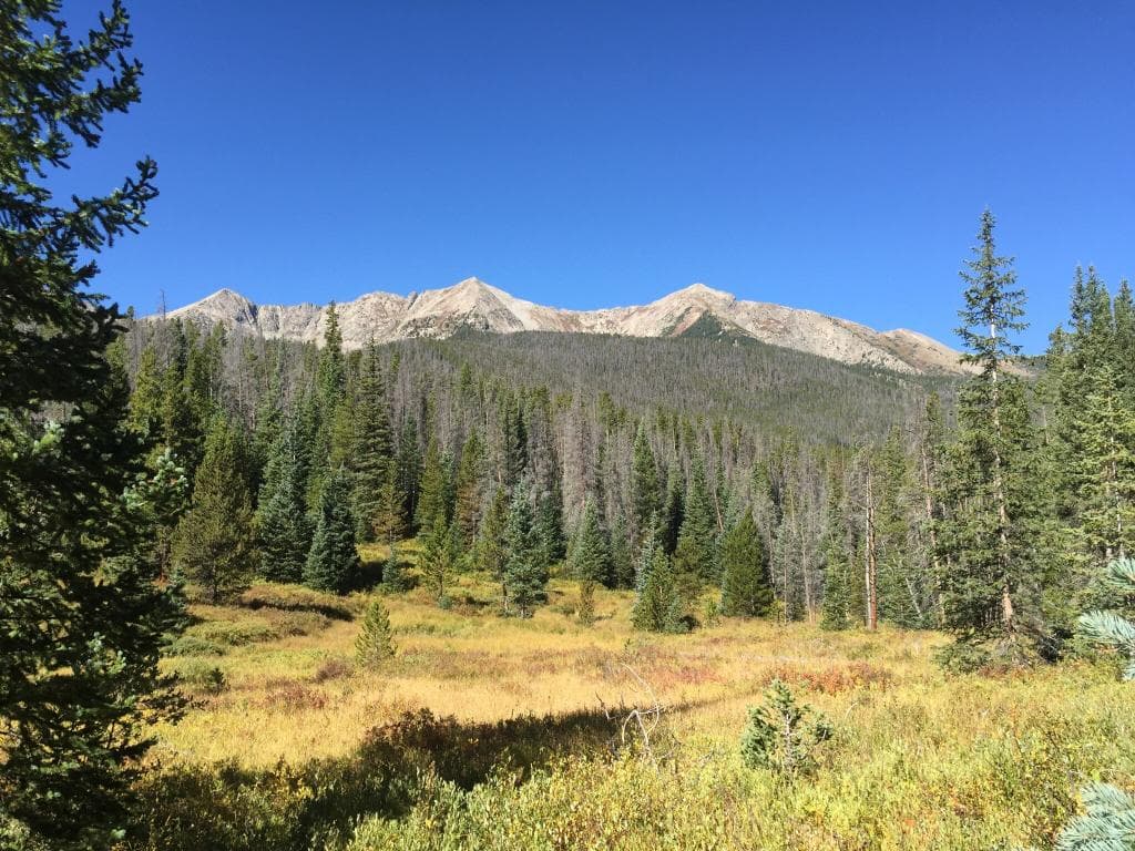 Peaks Trail