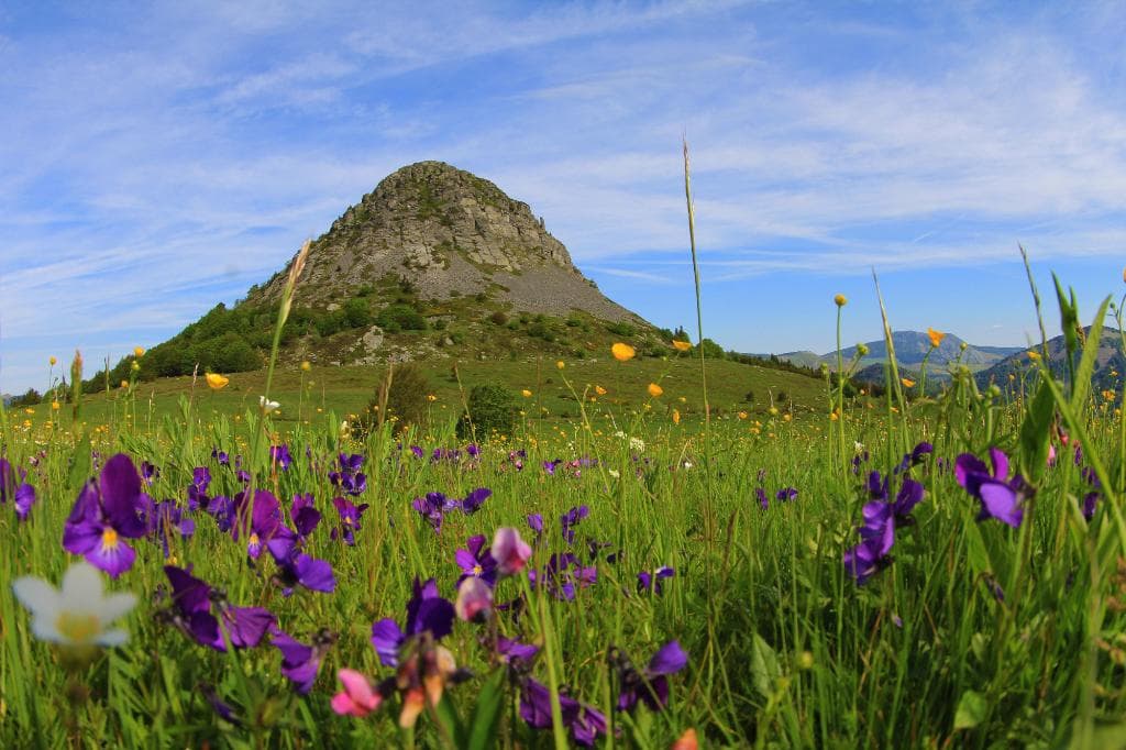 Mont Gerbier (©Steph Tripot)