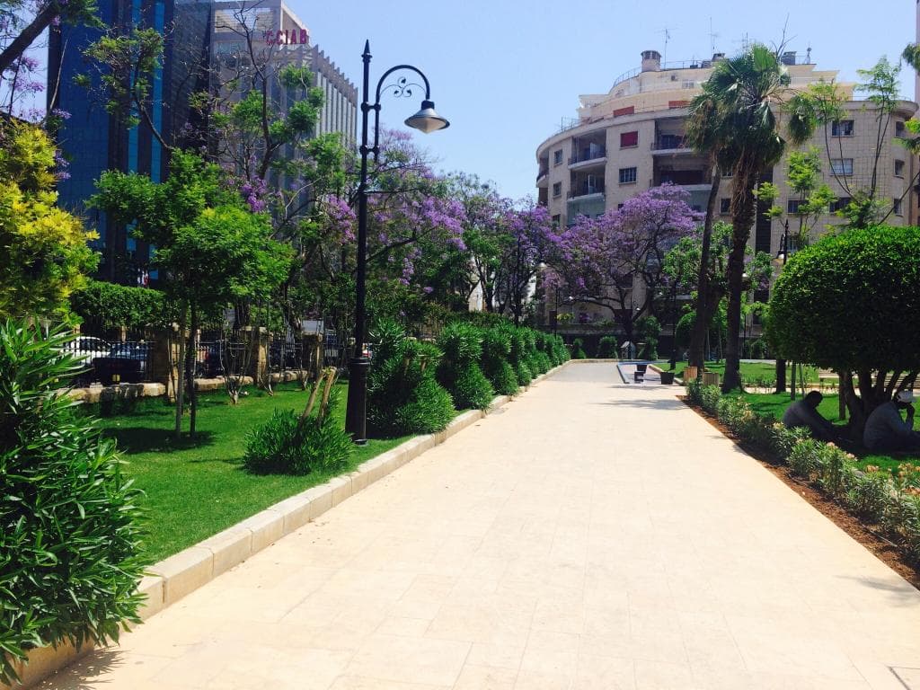 Beautiful garden with lovely trees and flowers!