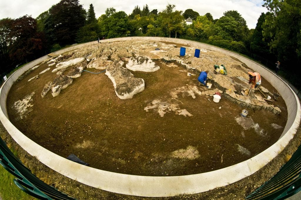 Fisheye view of the whole map