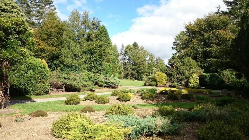 John F. Kennedy Arboretum