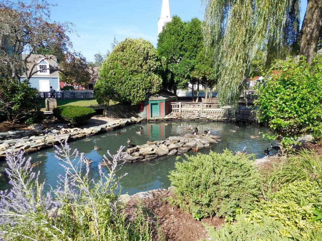 Pond at Olde Mistick Village