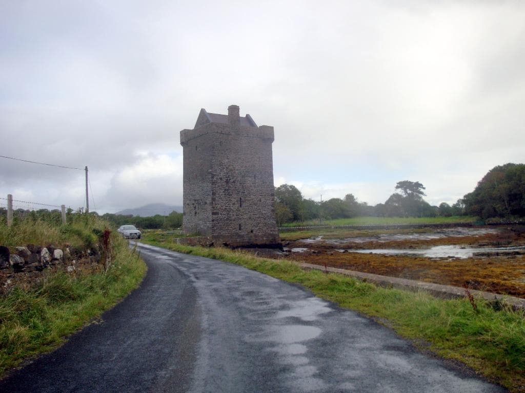 Carrickahowley Castle looking back towards the entrance road.