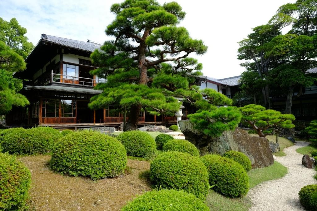 庭から慶雲館をのぞむ