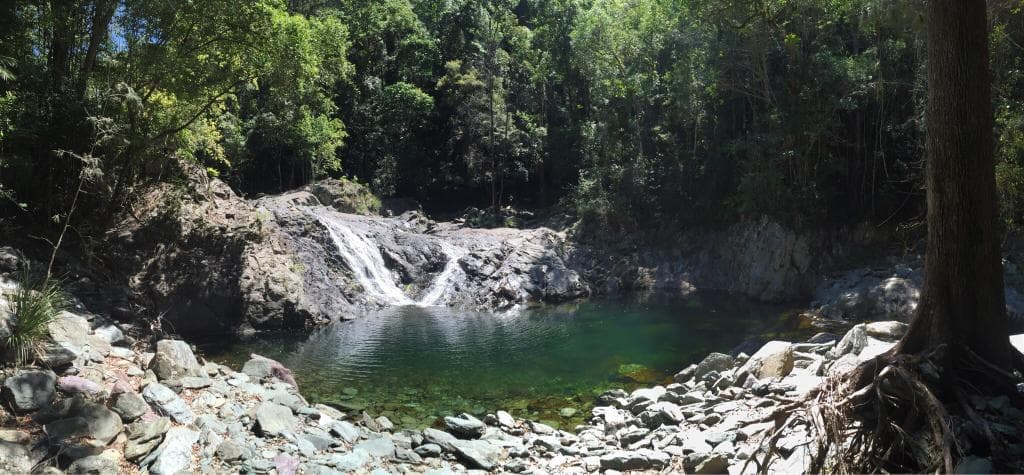 Hiked along the great walk out to first camp ground and back. 11km hard walk but beautiful spots