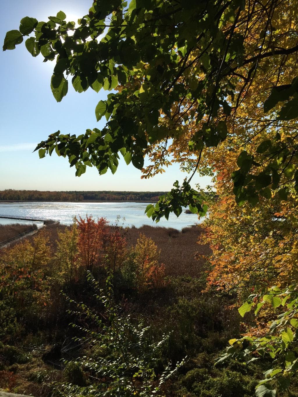 Oka National Park