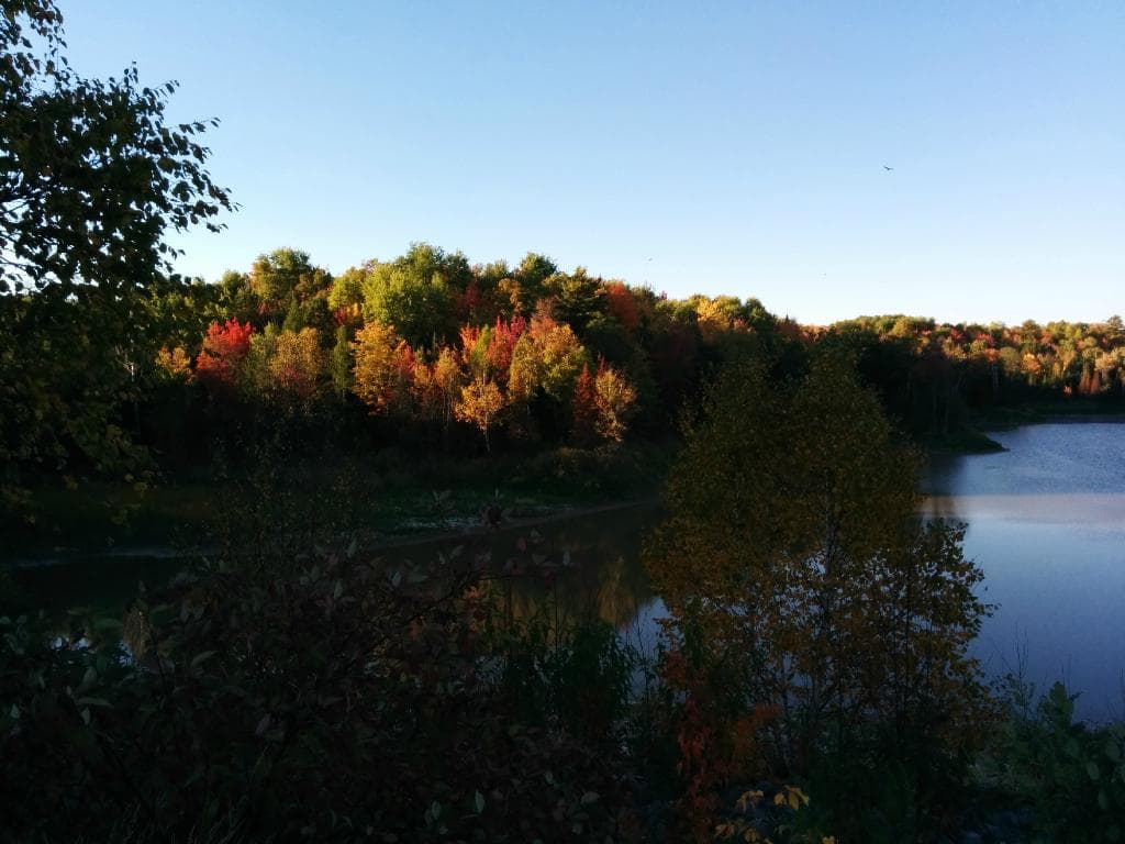 Fort Creek Hub Trail October 2014