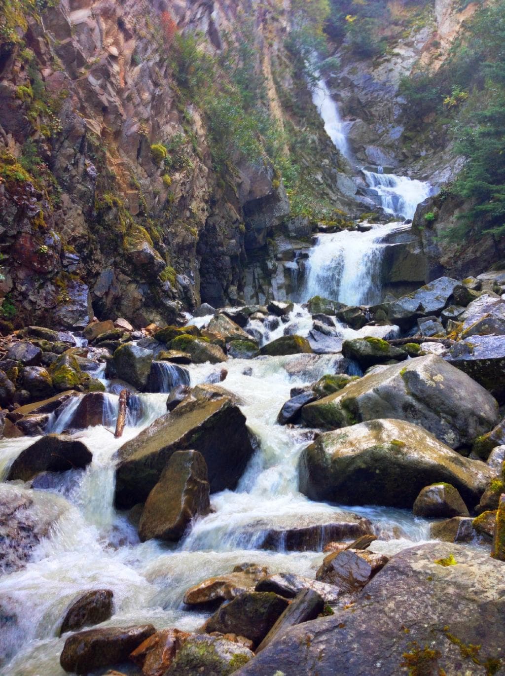 Reid falls