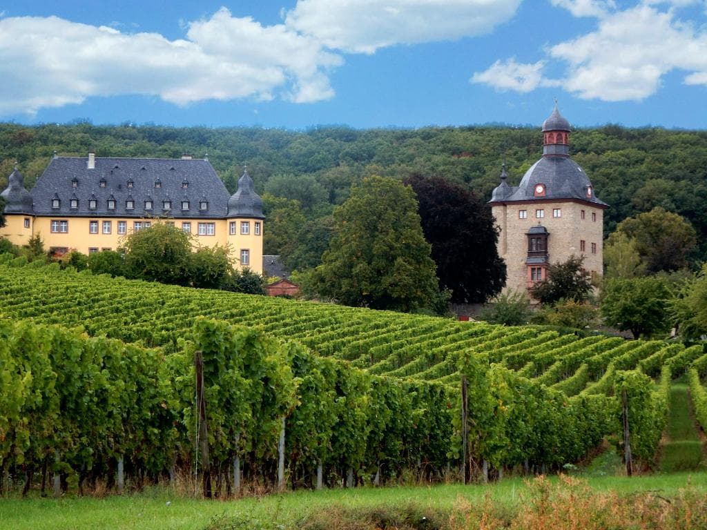 Weingut Schloss Vollrads