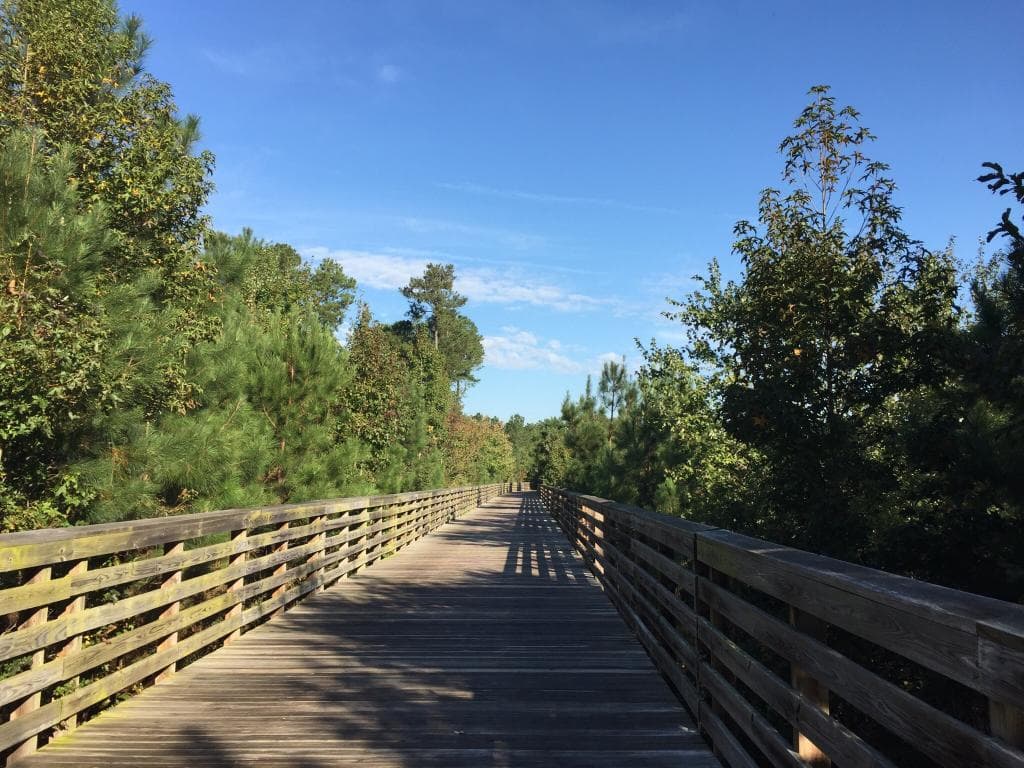 Beautiful, well maintained bridge through an undisturbed wetland area