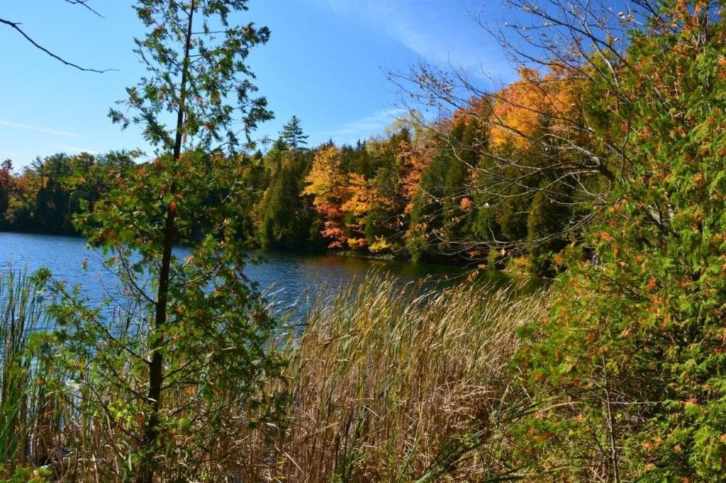 Crawford Lake