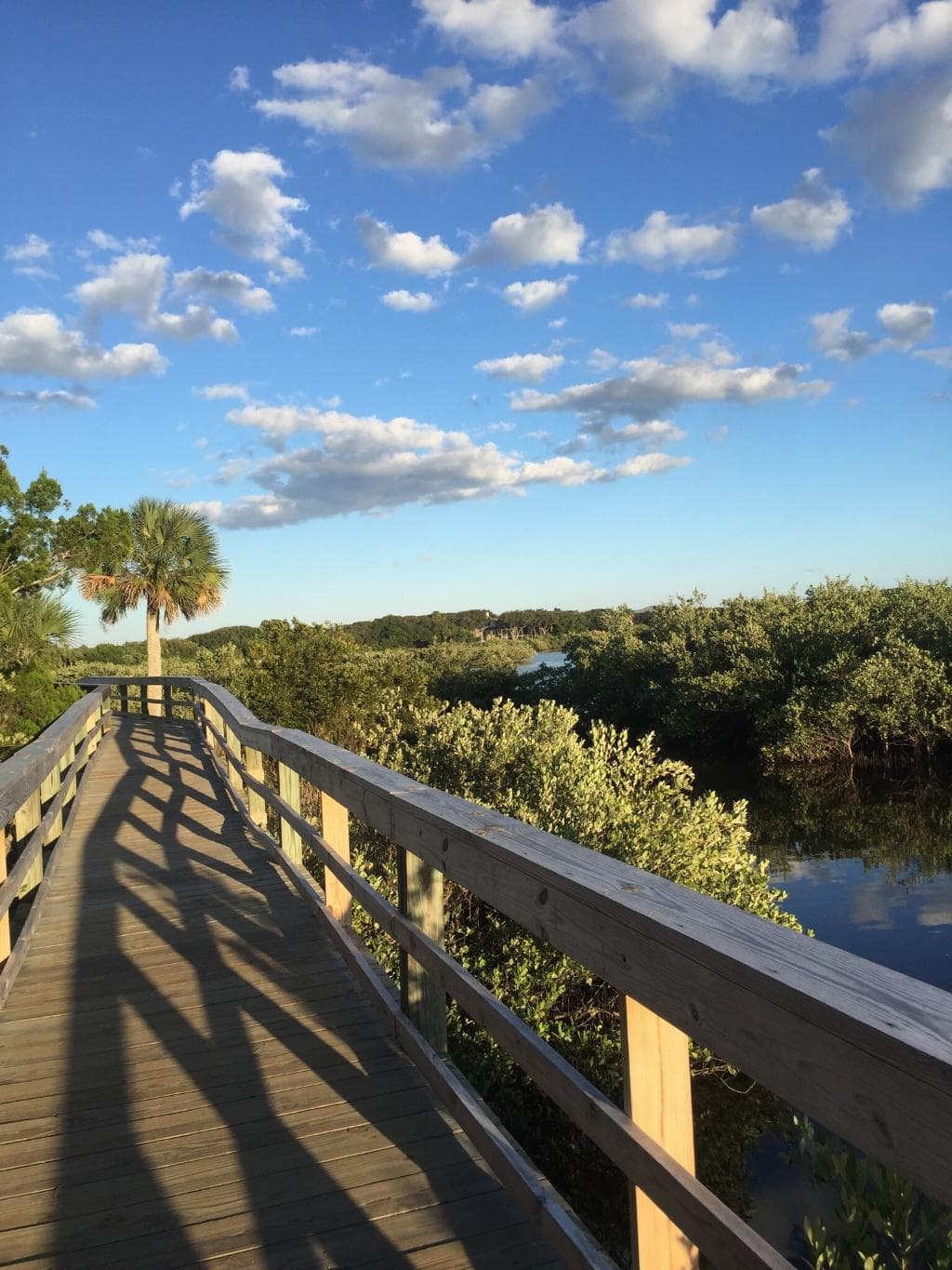 Betty Steflik Memorial Preserve