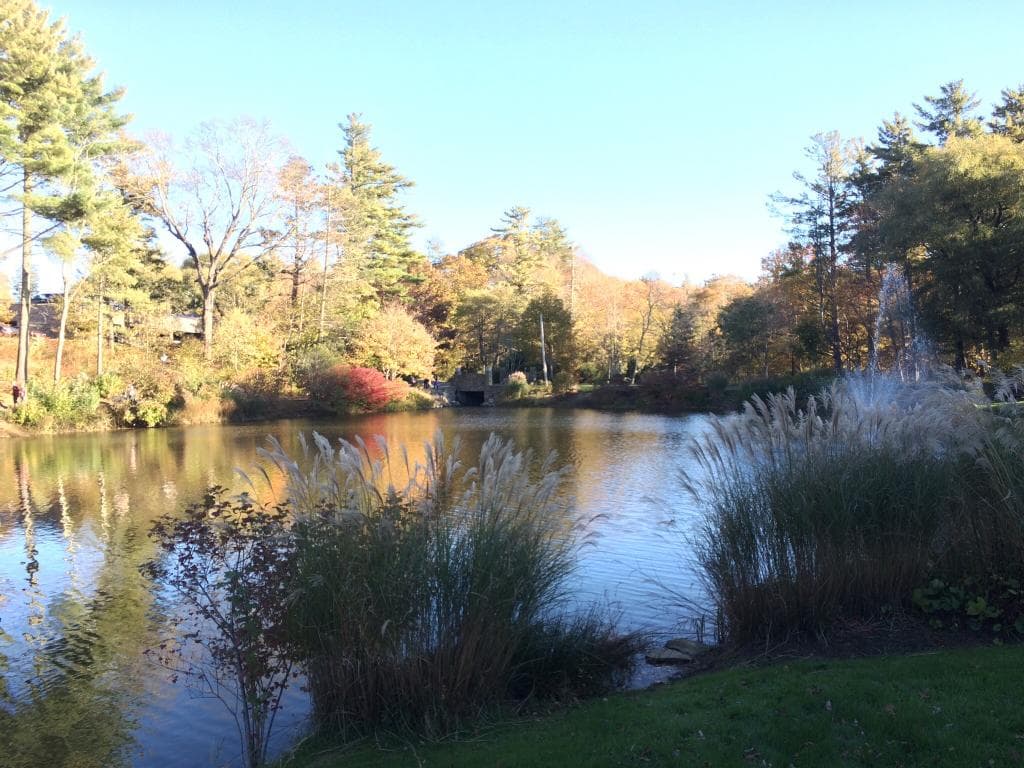 The park has a lovely duck pond and fountain.