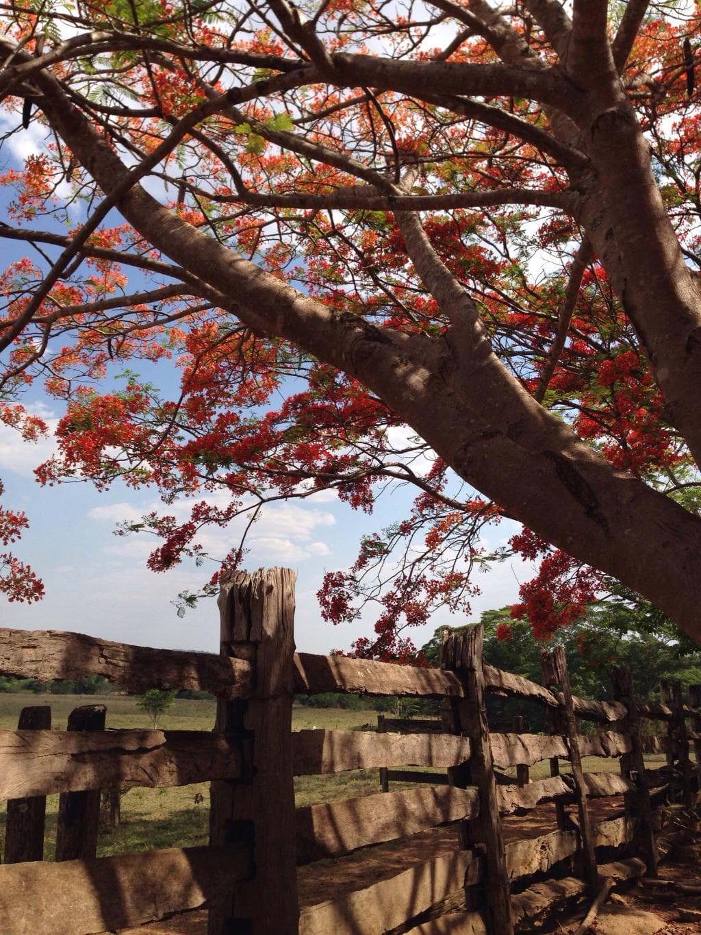 Fazenda Babilônia