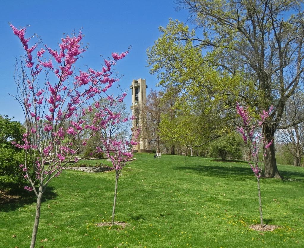 Thomas Rees Memorial Carillon