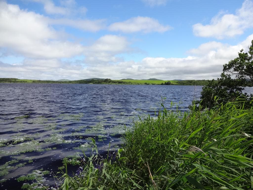 メグマ原生花園