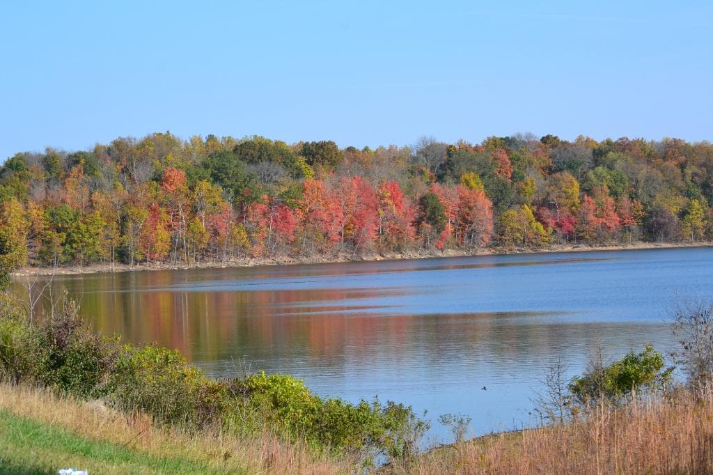 The leaves are changing at Patoka Lake